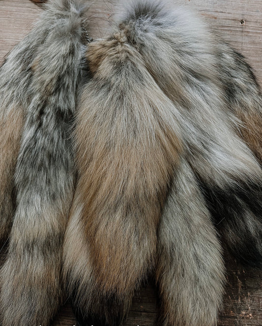 COYOTE TAILS